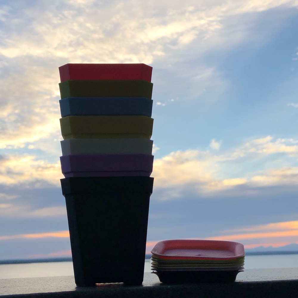 ★NEW★ 7 PACK Mini Planters Succulent Cactus Flower - Picture 14 of 16